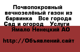 Почвопокровный, вечнозелёный газон из барвинка - Все города Сад и огород » Услуги   . Ямало-Ненецкий АО